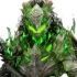 cropped-1000031493-1.webp